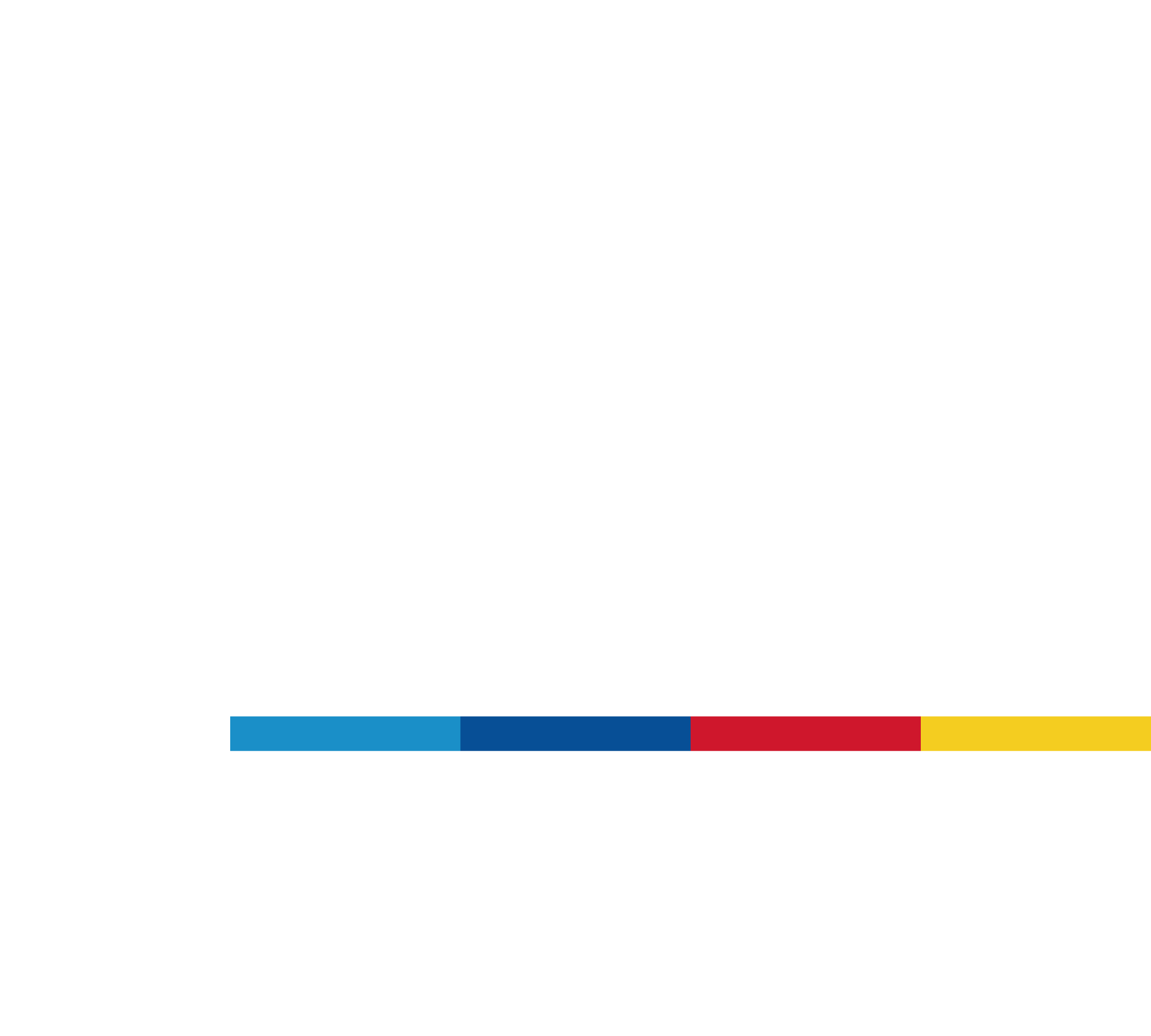 VfL Digital Logo