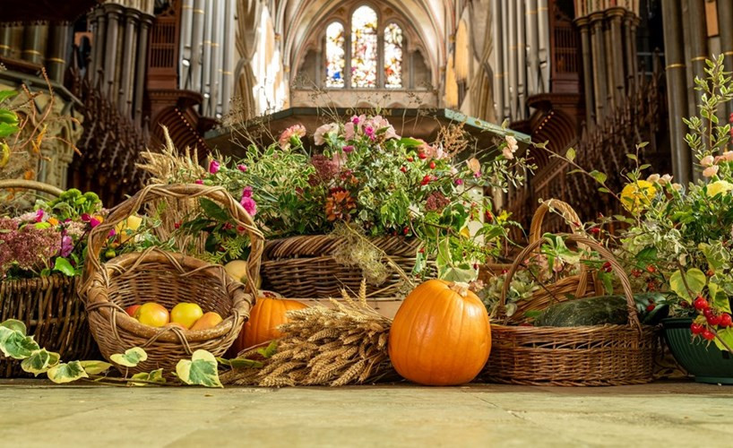 Harvest photo